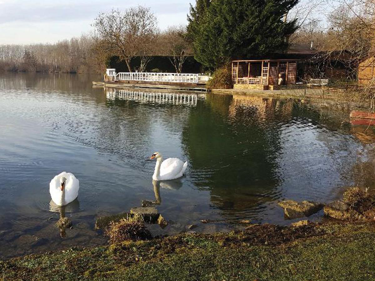 Chalet Au Domaine De La Goujonne Saint-Sauveur-les-Bray Bagian luar foto